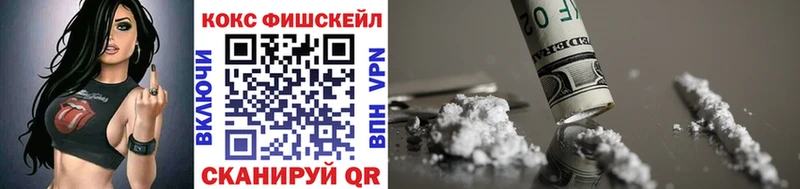 Cocaine FishScale  магазин    Козьмодемьянск 
