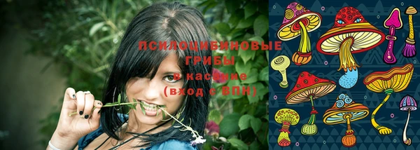 гидропоника Аркадак