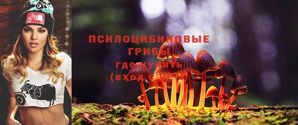крисы Армянск
