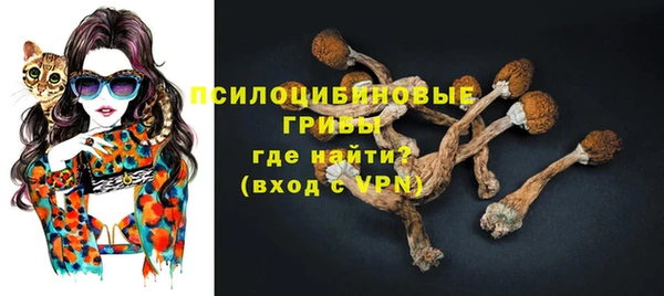 спайс Пролетарск